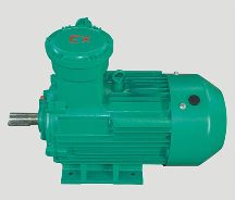 四川成都張經(jīng)理訂購YBX3型防爆電機(jī)1臺(tái)