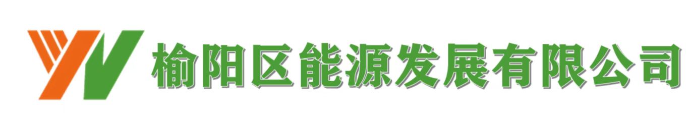南洋電機(jī)logo